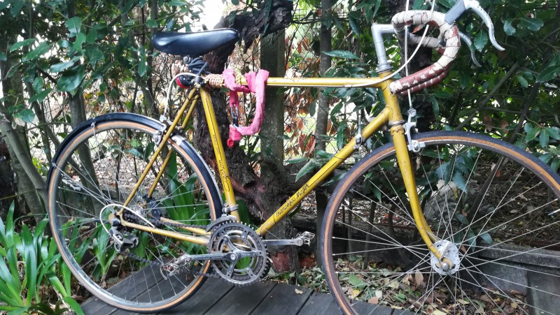 Vélo trouvé rue Docteur Dupeux 33400 TALENCE