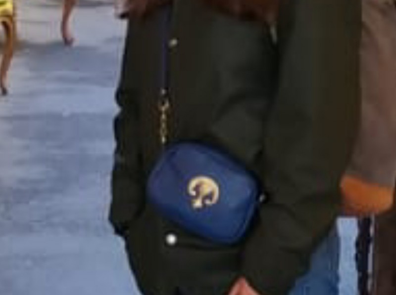 Petit sac à main