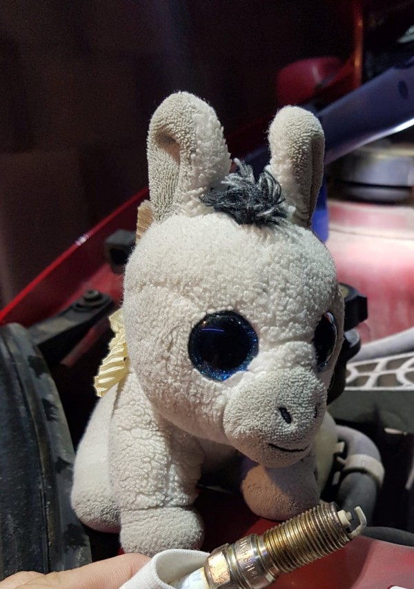 petite peluche blanche