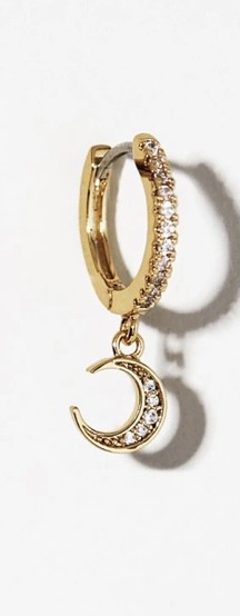 Perdu boucle oreille
