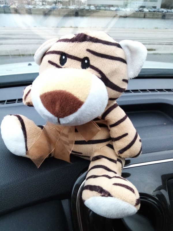 perdu doudou tigre Dunkerque parking patinoire lundi 19 oct2020 matin