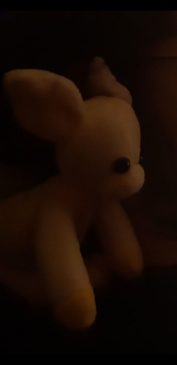 Perdu peluche rose et sac quechua gris