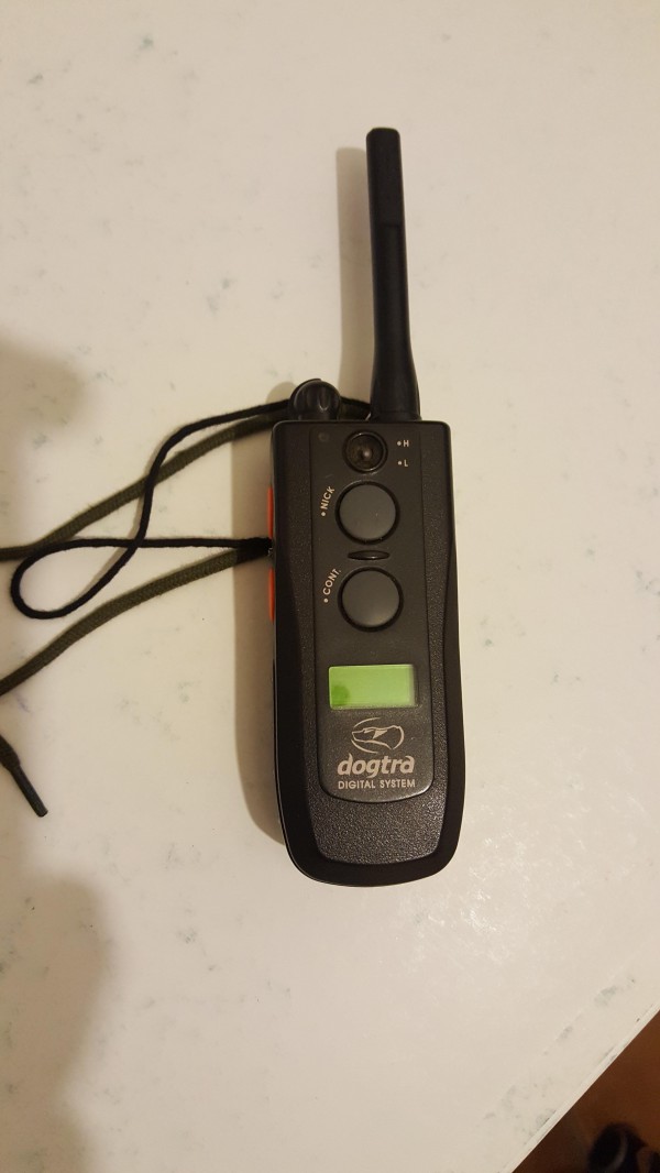 Perdu Télécommande collier DOGTRA 2500 T&B sur La Londe Les Maures 83250