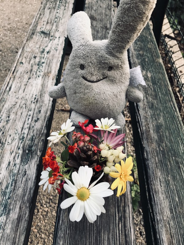 Perdu doudou lapin ange blanc