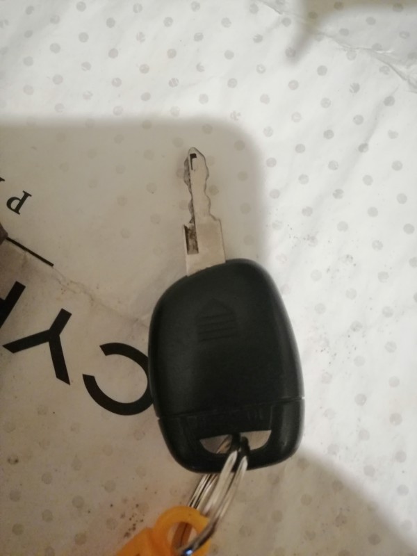 Clef de voiture à Nanterre, avenue Georges Clemenceau, 92000 Nanterre