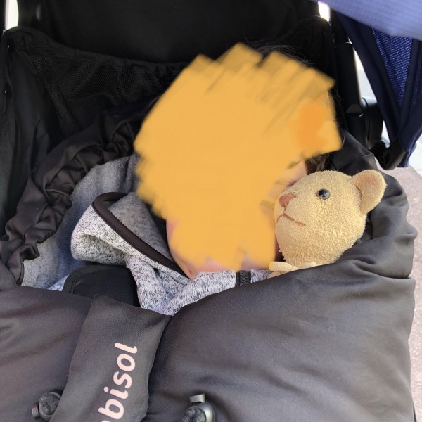 Perdu Doudou ours peluche Suresnes