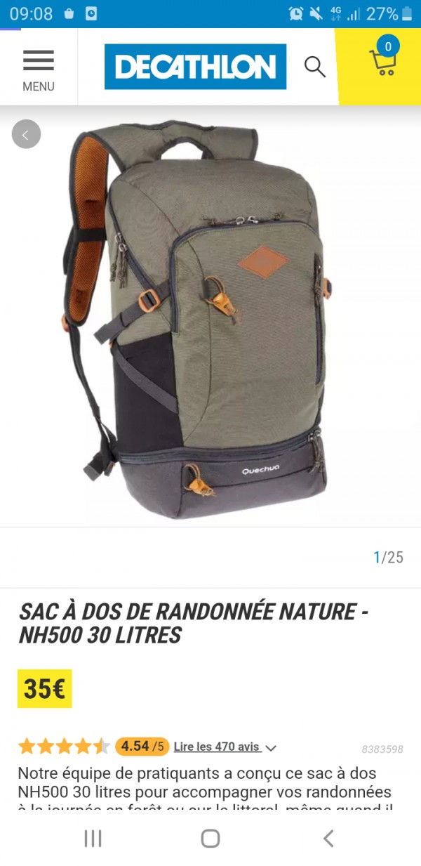 Sac decathlon kaki volé à Oullins rue de la republique vers le métro