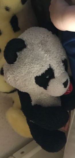 Doudou Panda perdu Saint Egrève/Grenoble tram E