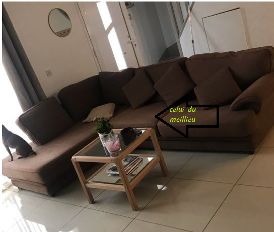perdu coussin marron de canape a ozoir