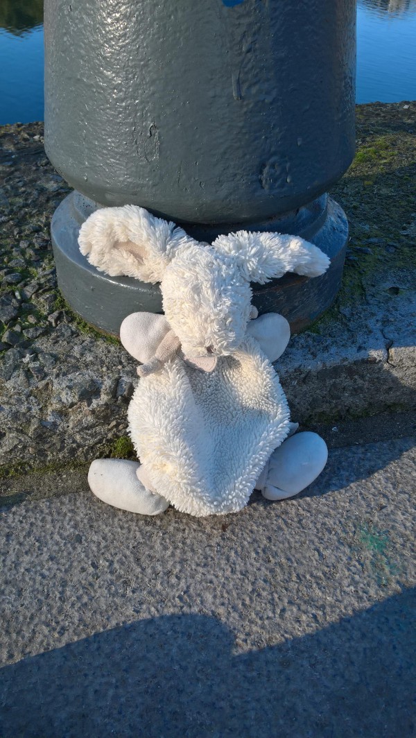 doudou lapin