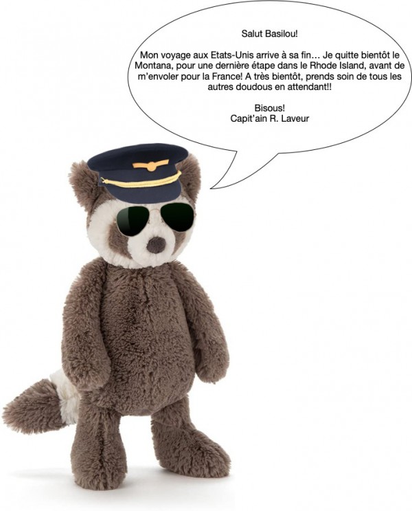 Doudou Raton Laveur JellyCat