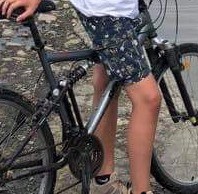 Vélo Gris rockrider volé à la gare de Questembert