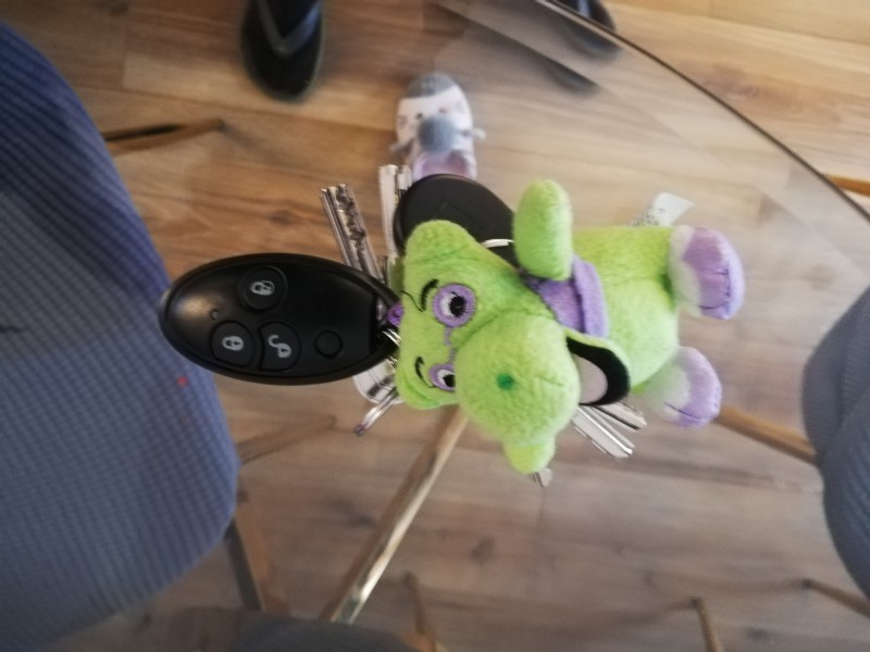 Télécommande portail avec porte clé peluche hippopotame