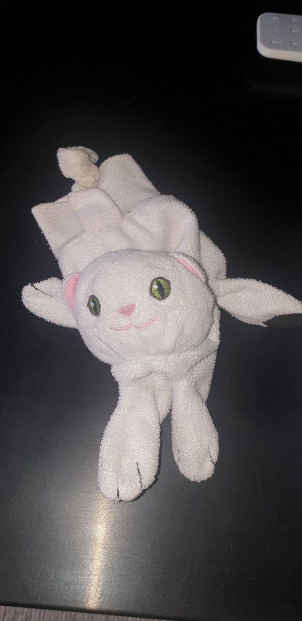 Doudou chat blanc perdu lyon 2e