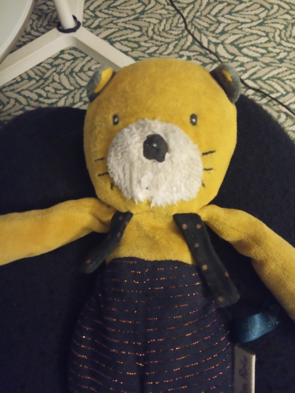 Doudou chat Moulin Roty trouvé rue de Lyon à Brest fin novembre