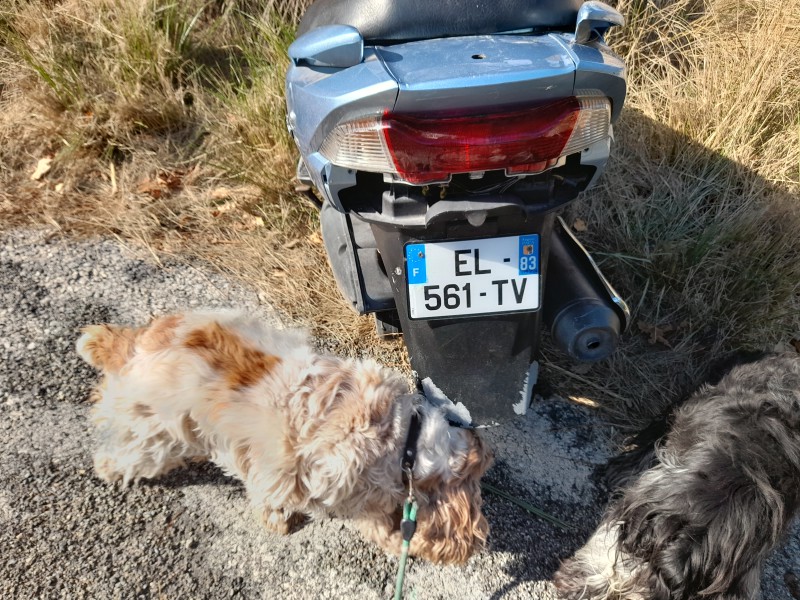 Un scooter