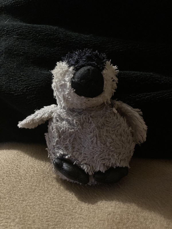 Petit pingouin en peluche