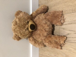 Trouvé ours en peluche avec pieds arrachés