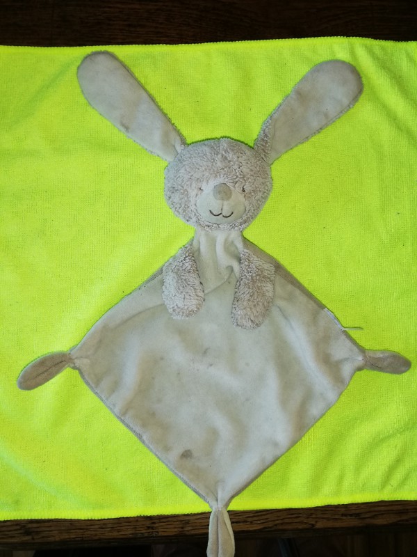 Trouvé Doudu rue Bouchaud à Nantes