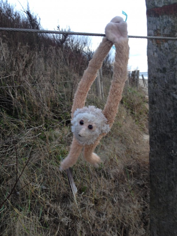 DOUDOU peluche singe ouistiti long bras Plage du fort bloqué