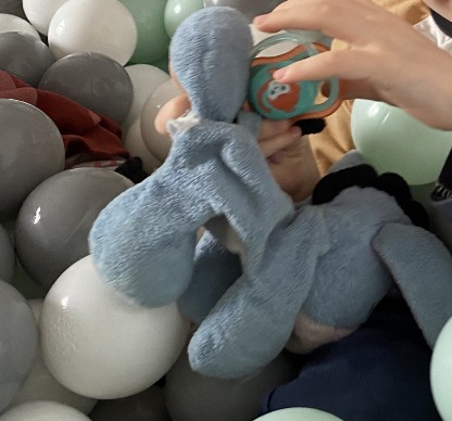 DOUDOU PERDU