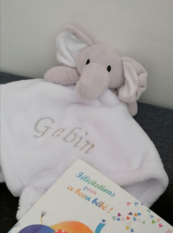 Doudou éléphant perdu