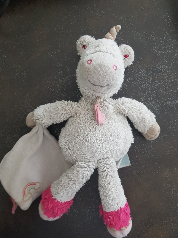 Trouvé doudou licorne blanche aux salins à Clermont ferrand