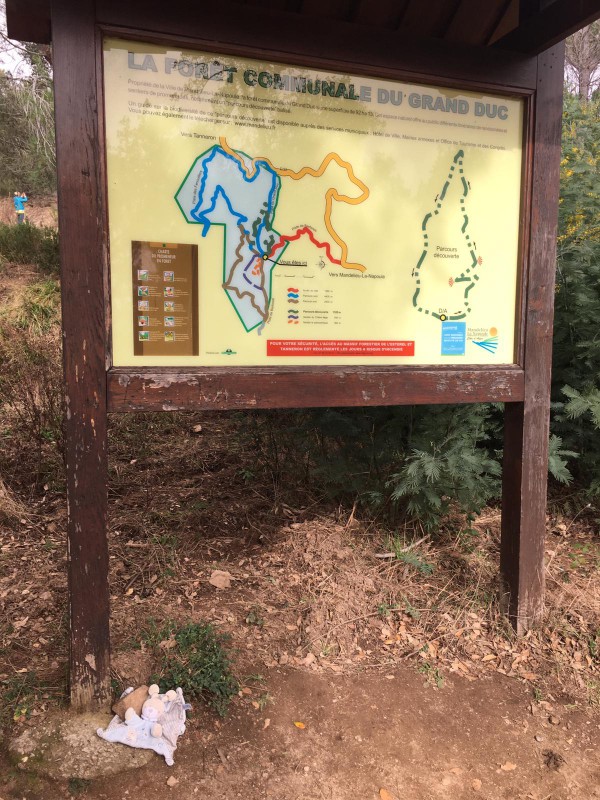 doudou trouvé randonnée tanneron forêt communale du grand duc