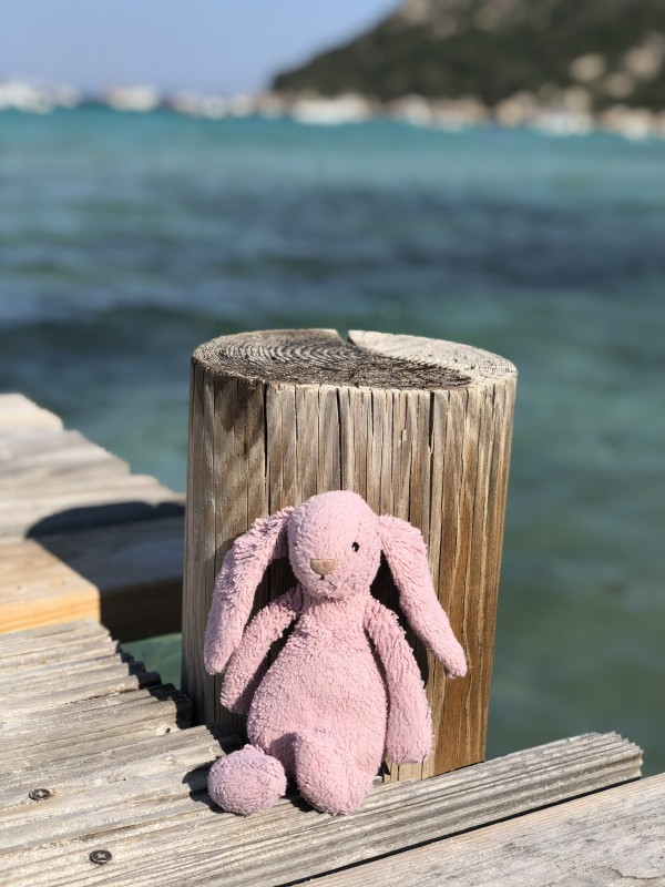 Perdu Doudou lapin rose Paris 5