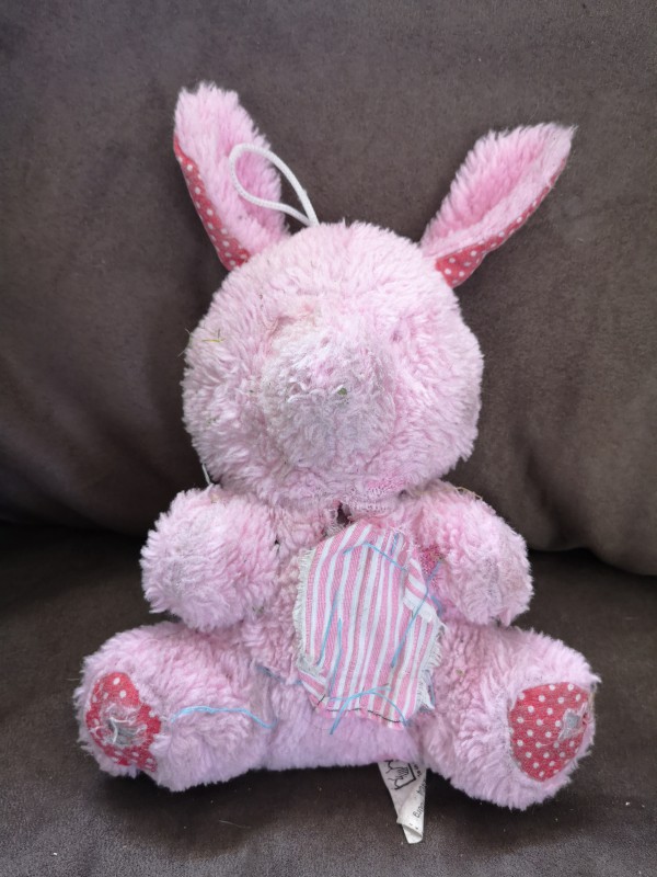 Lapin rose trouvé à Lorient