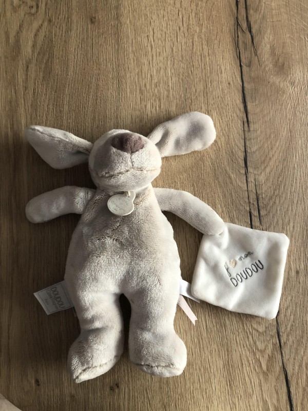 Doudou Perdu proche Mairie Puteaux