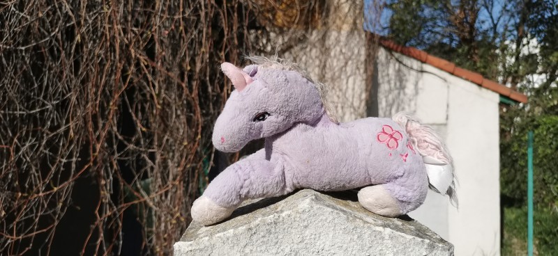 Licorne perdu devant la gare