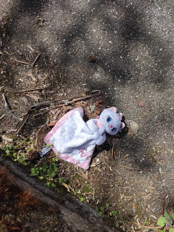 Doudou "Marie" (Disney) trouvé à Metz (cour d'une école maternelle quartier Sablon)