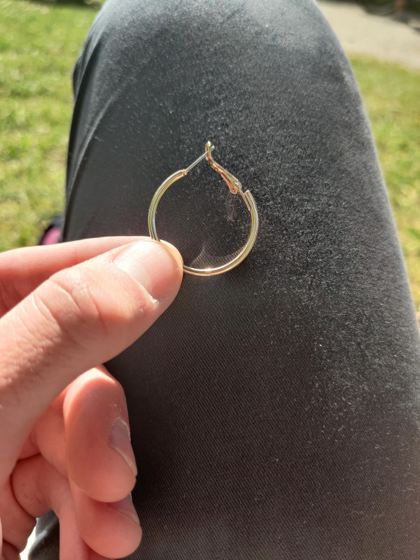 Boucle d'oreille trouvé au jardin public
