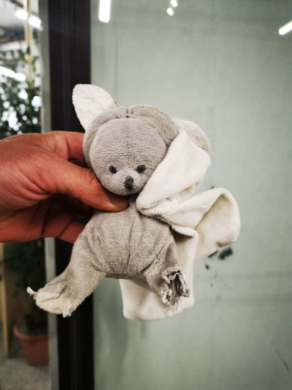Doudou gris, mouchoir blanc