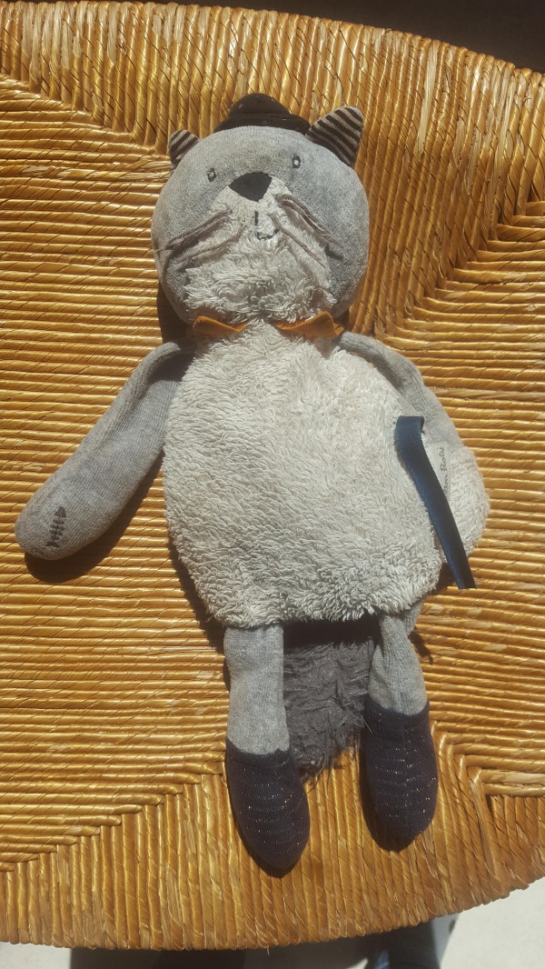 Doudou perdu à Issoire/Perrier