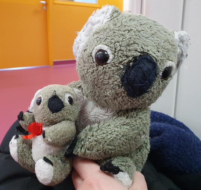 Doudou Koala