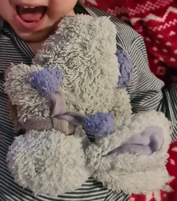Perdu doudou lapin à Marseille