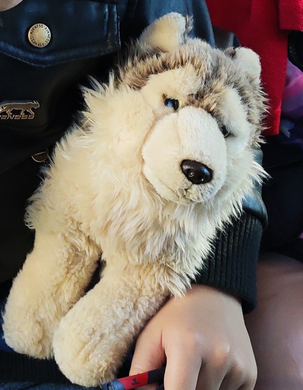 Doudou loup perdu aux arènes de Cimiez le 28/04