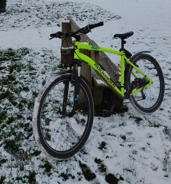 VTT Rockrider ST 100 volé à Sceaux, devant l'IUT