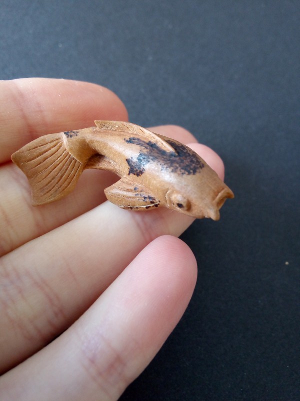 A la Recherche du Poisson perdu