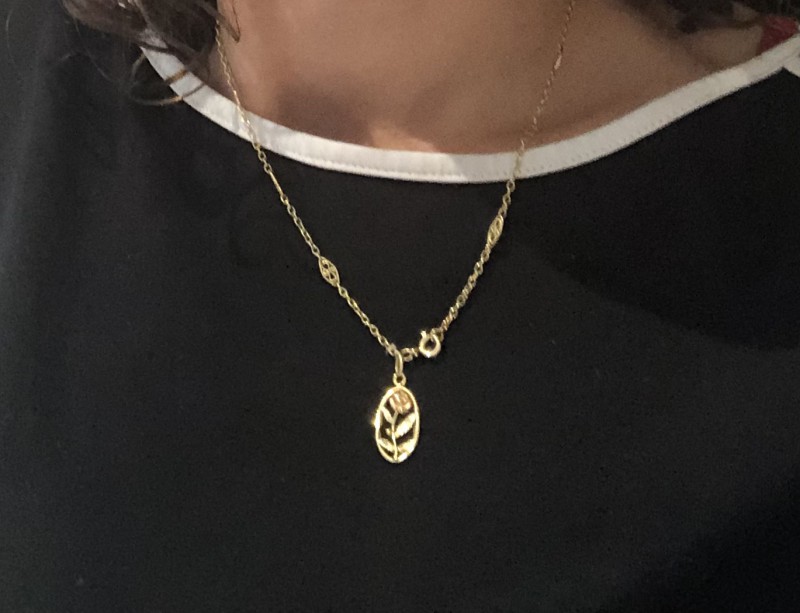 Perdu bijou - chainé avec pendentif rose - dune du pilat