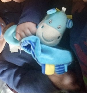 Doudou bleu