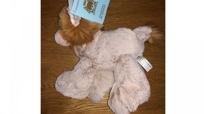 doudou lion perdu Paris 19ème