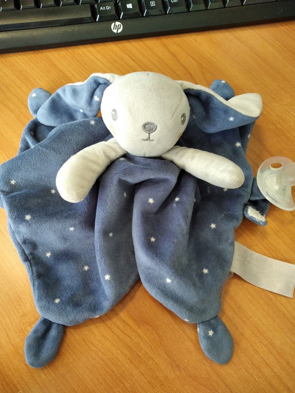 Doudou Lapin trouvé sur le parking Auchan Balma