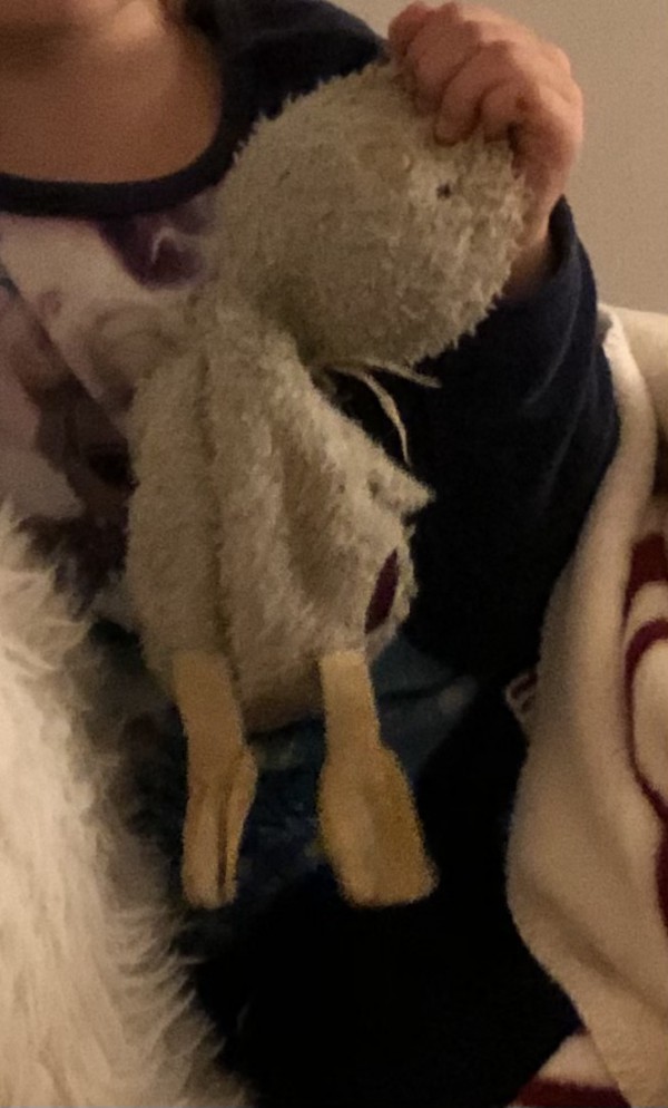 Doudou Poussin