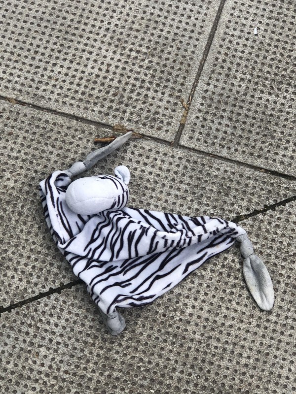Doudou zèbre rue hoche Grenoble
