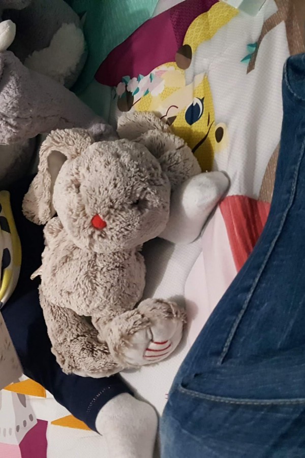 Perdu doudou lapin gris clair