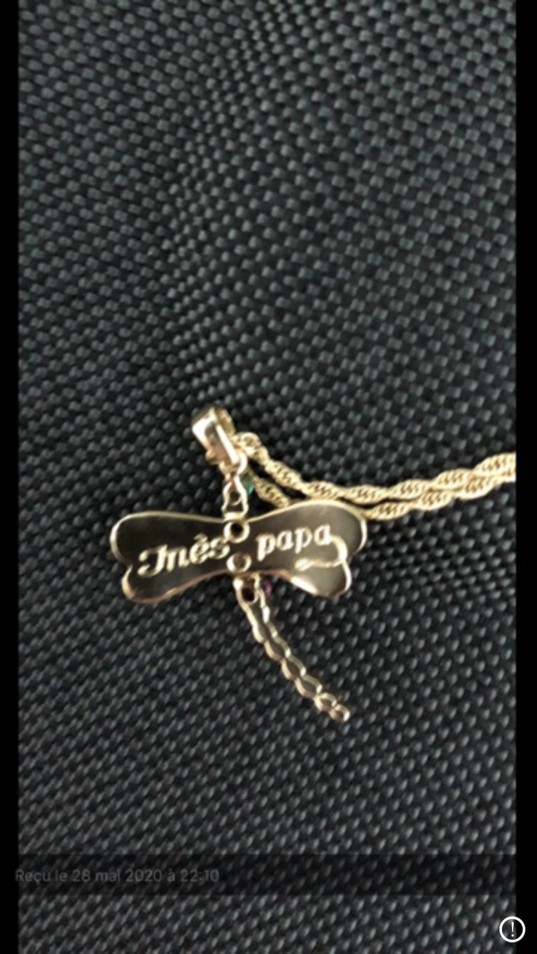 Collier or pendentif libellule