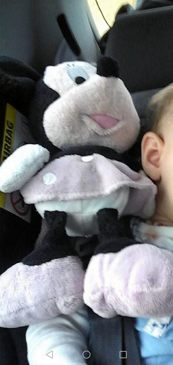 Doudou de minnie perdu dans un sac de jeux de sable